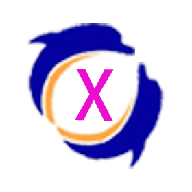 XSS Platform