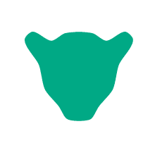 Yaguara