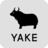 YAKE