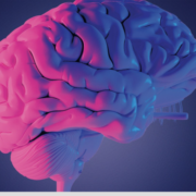 YourBrainType