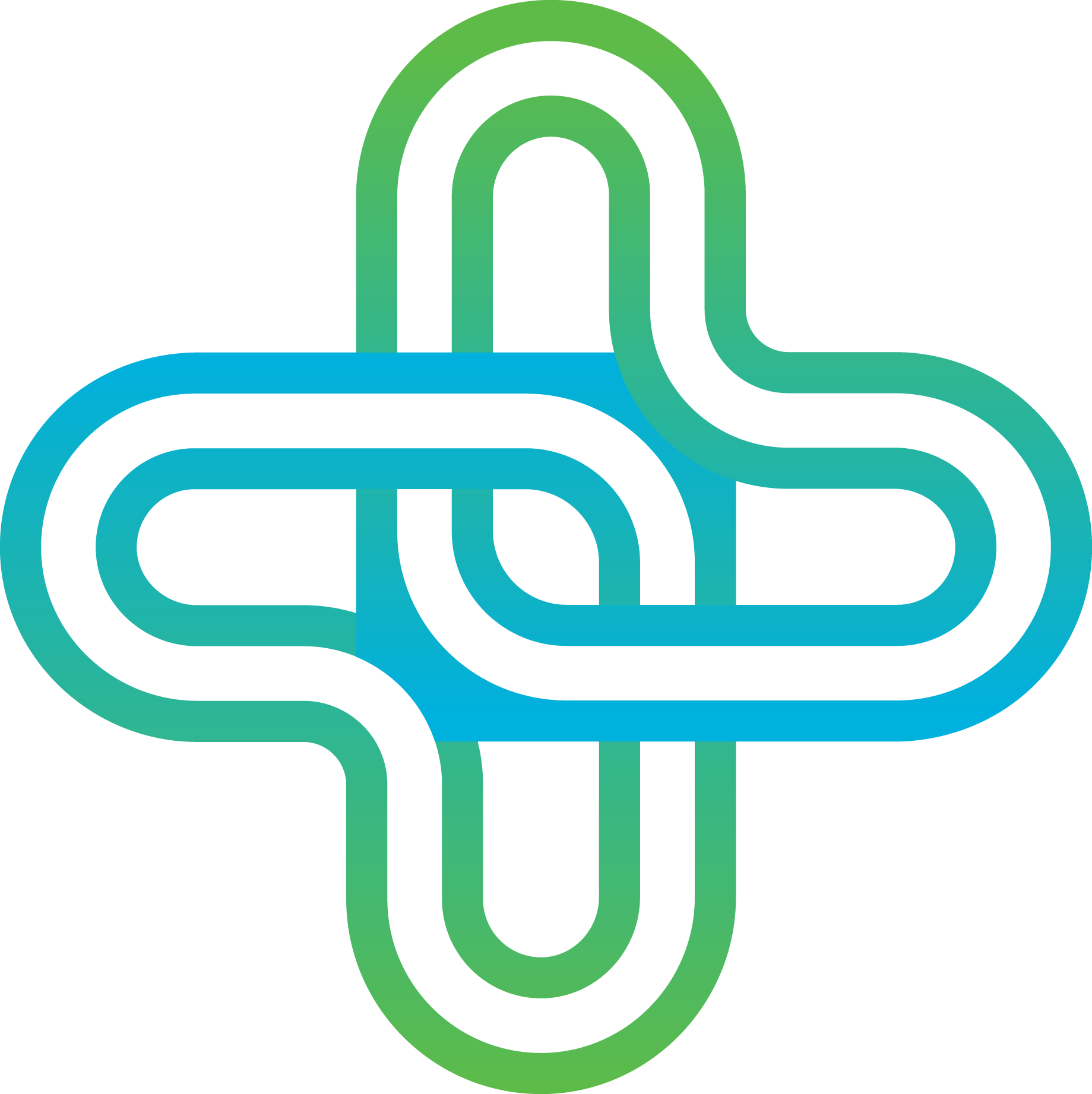 WHI (Whole Health Integration)
