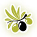Zong Chin Technology