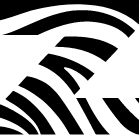 ZebDoc