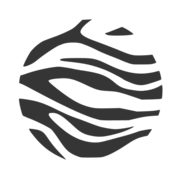 Zebra Classroom