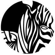 Zebrafi