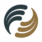 ZenOne