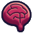 Zenquiz