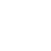 Zimus