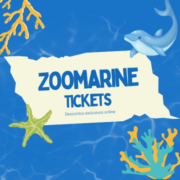 Zoomarine Tickets