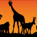 Zooview.tv