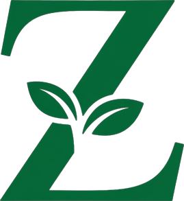 Zville.com