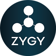 Zygy
