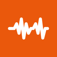 ZZP Pulse
