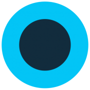 BIS Corrections Management Solution