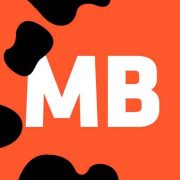 Virtual Mold Inspection