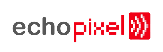 EchoPixel True 3D