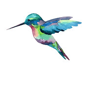 Hummingbird Clinical