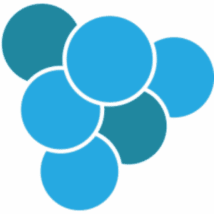 Wine Management Systems