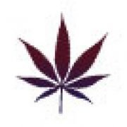 ProCanna- Cannabis Compliance Software