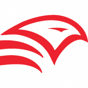 Red Health Online Independent Medical Assessment Booking Portal