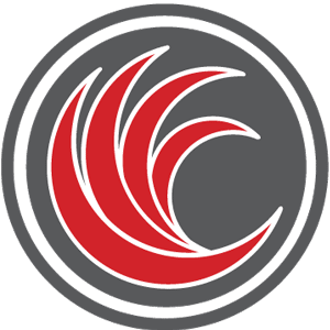 Red River Software Energy