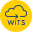 WITS (WInn Item Tracking System)